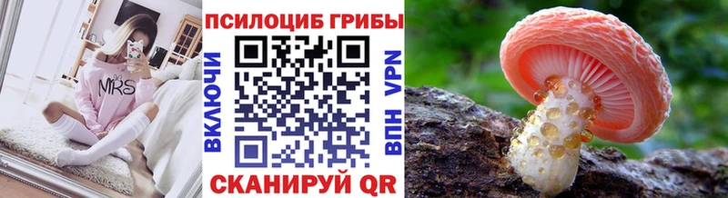 Псилоцибиновые грибы мицелий  Выкса 